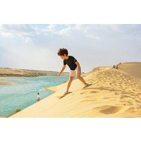 Tour To Whales Valley And Wadi El Rayan From Cairo