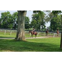 Full-Day Lexington Farm Tour with Clay Pigeon Shooting