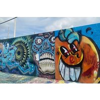 Little Havana and Wynwood Walls District Guided Tour