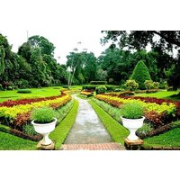 Return Airport Transfers & Kandy Day Tour From Colombo