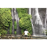 Ubud-Sanur to Menjangan area
