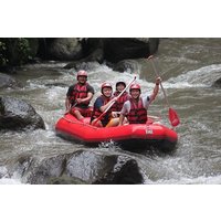 Rafting at Ayung River(Include Return Hotel Transportation)