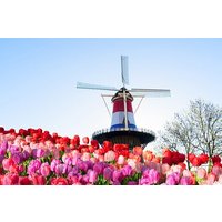 Private Tour to Delft and Leiden from Amsterdam