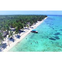 Saona Island Full-Day Tour from Boca Chica