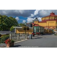 Stockholms Wikinger- und Skansen-Museum: Private Tour inkl. Tickets