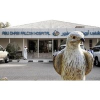 Private Trip to Abu Dhabi Mosque and Falcon Hospital