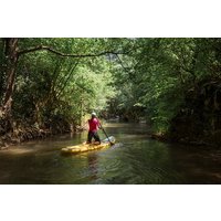 Paddle Board Adventure in Palomino River Tour