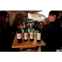 Vintage Wine Tasting in Bordeaux