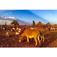 12 Days Ethiopia Tour