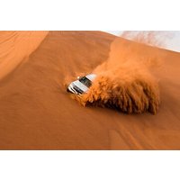 Full-Day Dubai Desert Safari Tour