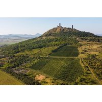 Eine herrliche Weinprobe in der malerischen Landschaft mit Mittagessen