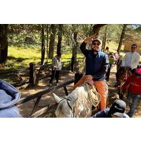 Monarch Butterfly Watching Tour in Caballo and Valle Bravo