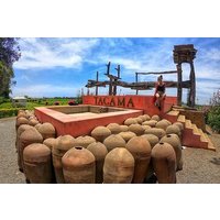 Pisco Wineries and Vineyards Day Tour