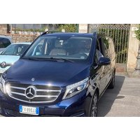 Private Transfer from Naples to Castellammare or vice versa