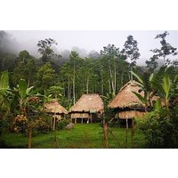 BRIBRI Chocolate tour & Cahuita National park from San Jose