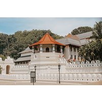 Best of Sri Lanka 8 Days All Inclusive Tour