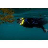 Kayak and Snorkeling Adventure in Arrabida