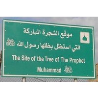Jordan Islamic Private Tour: Muhammad’s Tree & The Sleepers Cave