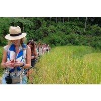 toraja fantastic tour 3 days/by sleeping bus/mini vanAC/min 2pax