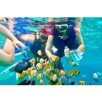 Blue lagoon and tanjung jepun snorkling all inclusive