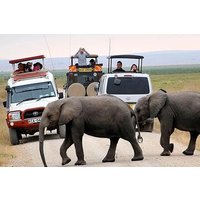 Private Amboseli Overnight Tour