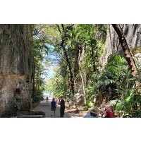 Nassau's Half Day Bus City Tour: Guided Tour with Free Samples