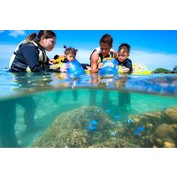 OK from 2 years old! / Sea picnic & snorkel