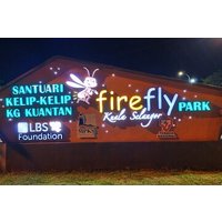 Fireflies Kuala Selangor & Batu Caves (With Fireflies Tickets)