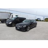 Venice Airport(VCE) to Giudecca +water taxi - Round-Trip Transfer