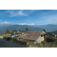 Hiking Adventure from Hemjaphedi to Dhampus