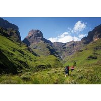 Half Day Safari Hiking to Drakensberg Mountains from Durban