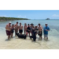 All Inclusive Swimming With The Pigs