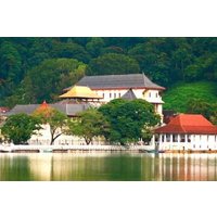 Kandy Private Day Tour from Colombo & Negombo