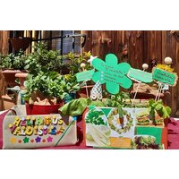 Creative workshop - Vegetable garden in boxes