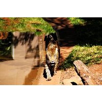 Itaipu Dam with Wild Animals Eco Retreat