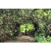 3-Hours Private Mountain Biking in Galle