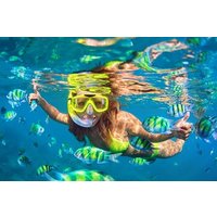 Snorkeling Trip with pick up ( beach)