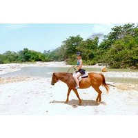 Horseback Ride, City Highlight Tour Ocho Rios(Entry fee included)