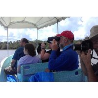 Wings of Belize: Crooked Tree Wildlife Adventure