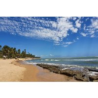 Private Coconut Coast & Praia do Forte Tour - from Salvador