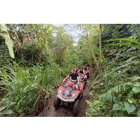 Challenging ATV Quad Bike in Ubud Bali