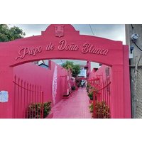 Half-Day Puerto Plata City Tour