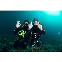 Discover Scuba Diving PADI - Trial dive in Sorrento