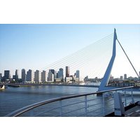 Rotterdam History, Culture & Highlights tour