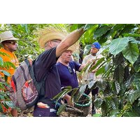 2-Day All-Inclusive Package Along the Coffee Route in the South