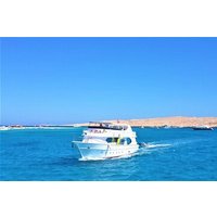 Dolphin Discovery Adventure in Hurghada