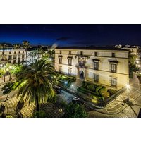 Ticket for Visit to the Domecq Palace in Jerez de la Frontera