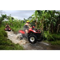 Bali Quad Bike: Through Jungle, Rice Terrace, River and Tunnel