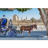 Explore Luxor with a Private 3-Hour Horse Carriage City Tour