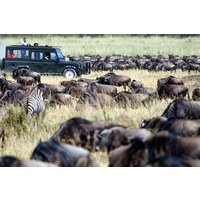 8 Days Combined Kenya And Tanzania Luxury Safari
